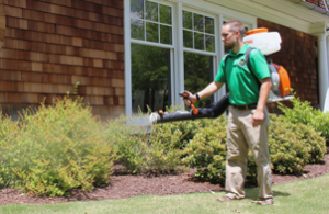 Mosquito Joe of South Columbus technician spraying bushes out of a home. 